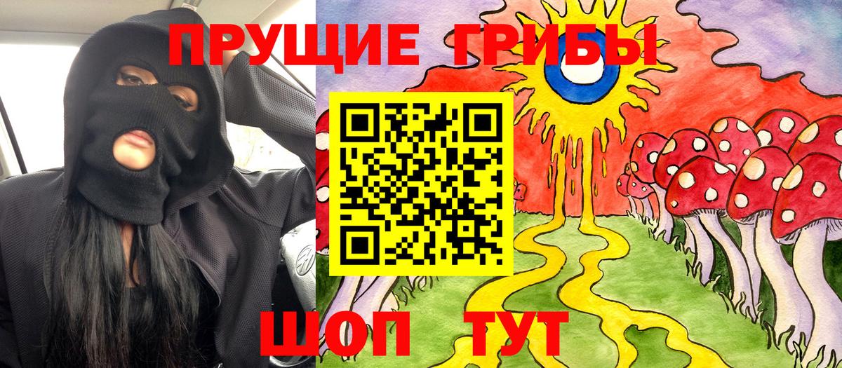 Псилоцибиновые грибы Psilocybe  Вход с VPN  Прокопьевск 